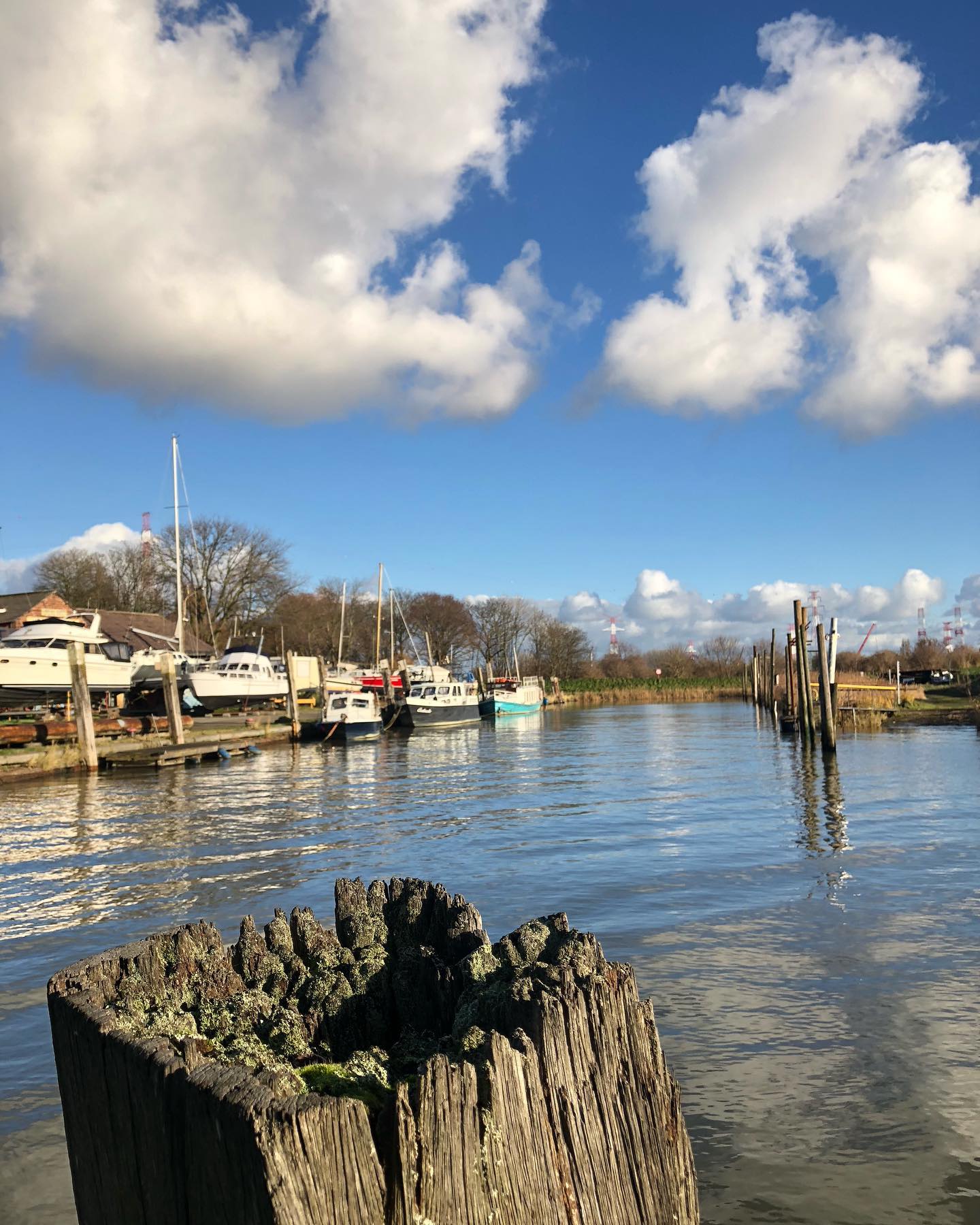 Herfstzon in Lillo…  #ikhoudvanoudhout #fortlillo