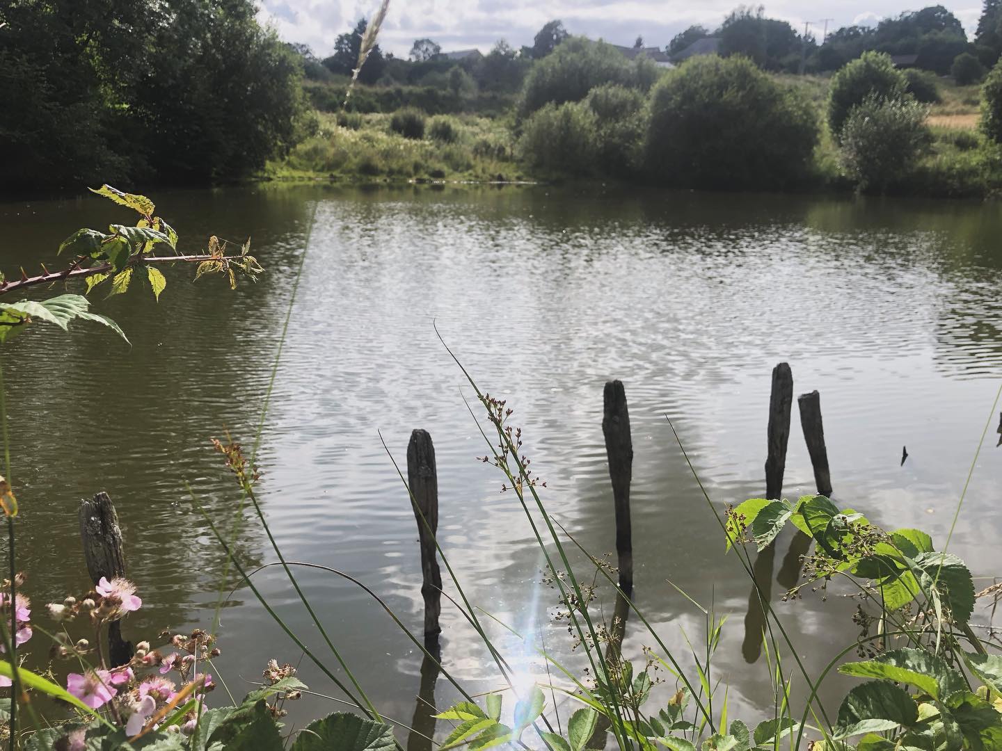 #3etangs #les3etangs #ikhoudvanoudhout